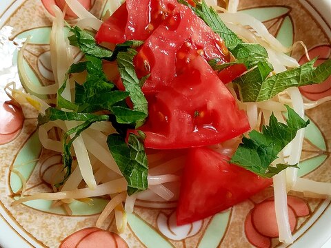 レンジ蒸しもやしとトマトの青じそドレッシングサラダ